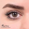 لنز شماره 11 مدل Lumirere hazel رویال ویژن